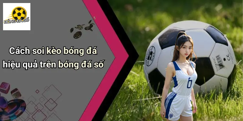 Bóng Đá Số