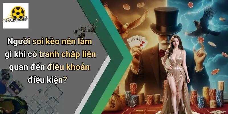 Điều Khoản Điều Kiện 4 Người soi kèo nên làm gì khi có tranh chấp liên quan đến điều khoản điều kiện?