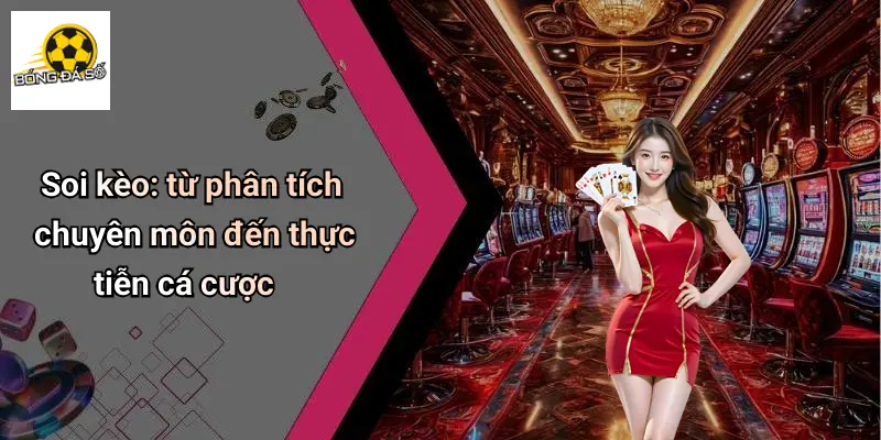 Soi kèo: từ phân tích chuyên môn đến thực tiễn cá cược