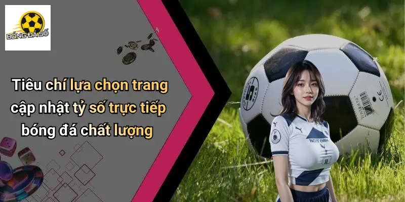 Tiêu chí lựa chọn trang cập nhật tỷ số trực tiếp bóng đá chất lượng