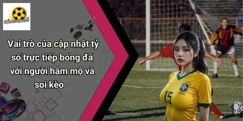 Vai trò của cập nhật tỷ số trực tiếp bóng đá với người hâm mộ và soi kèo