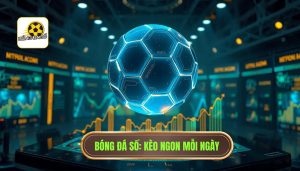 Kinh nghiệm săn kèo ngon mỗi ngày: Bí quyết để trở thành cao thủ soi kèo