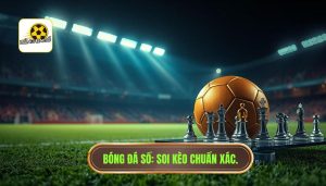 Dấu hiệu trận đấu dễ xuất hiện bất ngờ: Cẩm nang nhận diện "cạm bẫy" từ chuyên gia